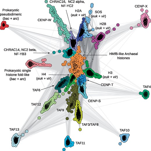 Cluster map of the histone superfamily. Homologs of archaeal, bacterial and eukaryotic histones were gathered from the nr protein sequence database, filtered to 70% identity and clustered in CLANS. Dots represent sequences and those within the same group are shown in one color. Line coloring reflects the significance of sequence similarities; the darker a line, the higher the significance. Accession information for representatives of all clusters are provided in Supplementary Material S1