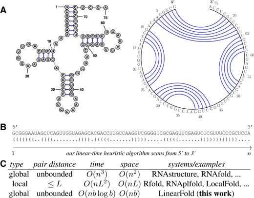 Summary of our work. (A) Secondary structure representations of E.coli tRNAGly; (B) the corresponding dot-bracket format and an illustration of our algorithm, which scans the sequence left-to-right, and tags each nucleotide as ‘.’ (unpaired), ‘(’ (to be paired with a future nucleotide) or ‘)’ (paired with a previous nucleotide). (C) Comparison between our work and existing ones. L is the limit of pair distance in local folding methods (often ≤150), and b is the beam size in our work (default 100). Our algorithm, though approximate, is the first to achieve linear runtime without imposing constraints on the output structure