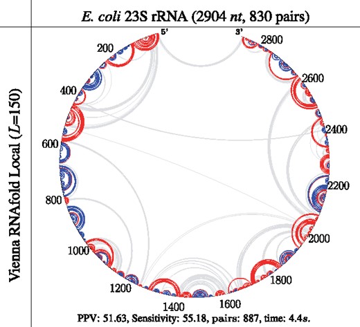 Circular plots of prediction results using the local folding mode of Vienna RNAfold (which only predicts local pairs no more than 150nt apart) on the E.coli 23S rRNA (corresponding to  Fig. 7I). Moreover, the O(nL2)-time local folding (with default L = 150) is twice as slow as the O(nb log b)-time LinearFold-V (with default b = 100)