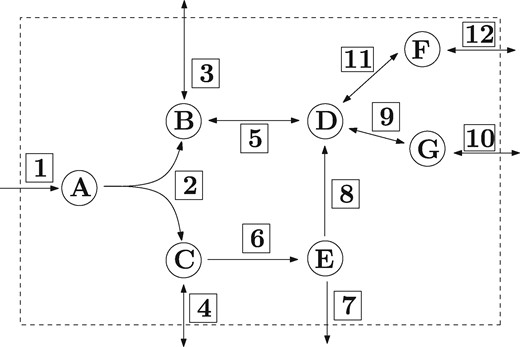 Example of a metabolic network. The set of internal metabolites is M={A,B,…,G}. The set of reactions is R={1,2,…,11,12}, where the irreversible reactions are Irr={1,2,6,7,8}. The stoichiometric coefficients Si,j are assumed to be in {−1,0,1}. If reaction 7 is the target reaction we have the following MCSs: If reaction 6 is not present, e.g. knocked out, there is no flux through reaction 7. Therefore reaction 6 is an MCS of cardinality 1. If the reactions 2 and 4 are not present, there is no flux through reaction 7. Therefore reactions 2 and 4 form an MCS of cardinality 2