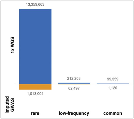 Unique variants called by sequencing and imputed GWAS. Variants unique to either dataset, arranged by MAF bin. Both datasets are unfiltered apart from monomorphics, which are excluded. MAF categories: rare (MAF<1%), low-frequency (MAF 1–5%), common (MAF>5%)