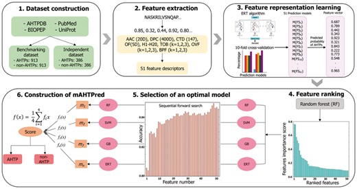 Overview of the proposed methodology for predicting AHTPs that involved the following steps: (i) construction of benchmarking and independent dataset; (ii) extraction of 8 different feature encodings that characterize those peptides in different ways and generation of 51 feature descriptors; (iii) generation of 51-dimensional feature vector using feature representation learning scheme; (iv) ranking the 51-dimensional feature vector using RF algorithm; (v) generation of the optimal meta-predictor model using sequential forward search; (vi) construction of the final prediction model by integrating four meta-predictors that separates the input into putative AHTPs and non-AHTPs