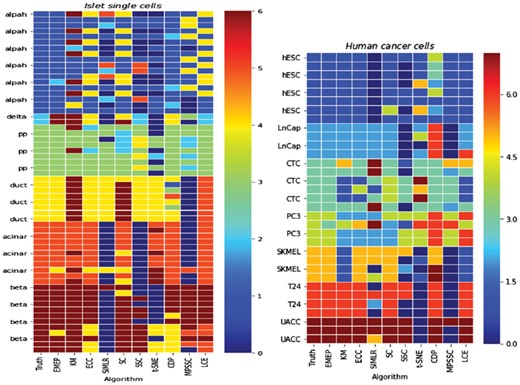 The clustering results from different clustering algorithms including LCE, ECC, SC, KM, CDP, t-SNE, SIMLR, SSC, MPSSC and EMEP on the pancreas islet single cells dataset and Human Cancer Cells dataset. Cells that are grouped in the same cluster are annotated in the same color in each column (i.e. each algorithm)