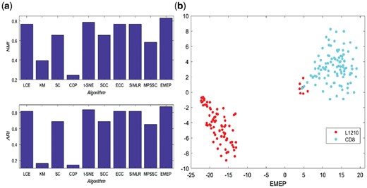 The performance of EMEP and other nine clustering algorithms including LCE, ECC, SC, KM, CDP, t-SNE, SIMLR, SSC and MPSSC on the low-depth single-cell RNA-seq dataset published in Nature Communications. (a) is the performance of NMI and ARI; (b) is the 2D visualization for that dataset