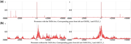 Scoring landscapes constructed by our models. True TSS is at position +1. (a) Promoters with the TATA-box. Corresponding genes from left are COCH_1 and CCL5_1. (b) Promoters without the TATA-box. Corresponding genes from left are FAM135A_1 and ASCC3_1