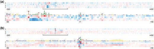 Mutation map for the TSS regions from −200 to +400 bp. Red color represents increase of the score and blue color shows decrease. (a) Model trained on the promoters with the TATA-box. (b) Model trained on the promoters without the TATA-box