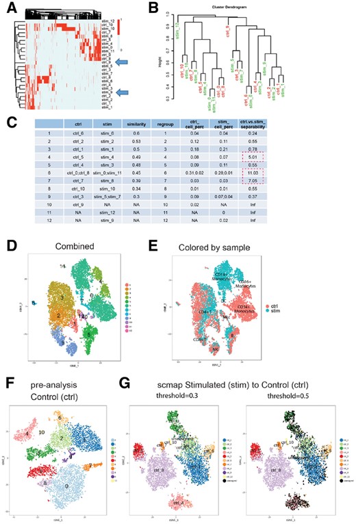 ClusterMap analysis of PBMCs datasets with immune stimulation. (A) Heat map of marker genes. (B) Dendrogram of the hierarchical clustering of marker genes. (C) Quantitative comparison of the sub-groups between samples by ClusterMap. (D) Re-colored t-SNE plot based on matching results for the combined dataset. (E) t-SNE plot with cells colored by sample. (F) Pre-analysis of the control condition. (G). scamp results of mapping stimulated condition to control at threshold 0.3 and 0.5. Cells are colored the same as their assigned sub-groups in (F)