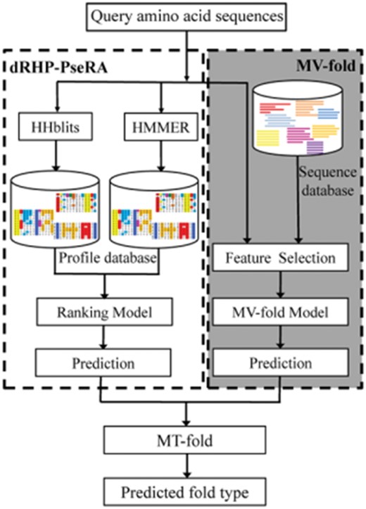 Flowchart of the MT-fold. The proposed method is divided into two parts: the dRHP-PseRA (the left module in the flowchart) and MV-fold (the right module in the flowchart with the darker background). The dRHP-PseRA searches the query sequence against the dataset using HHblits and HMMER. The MV-fold utilizes the multi-view learning model for features from different views