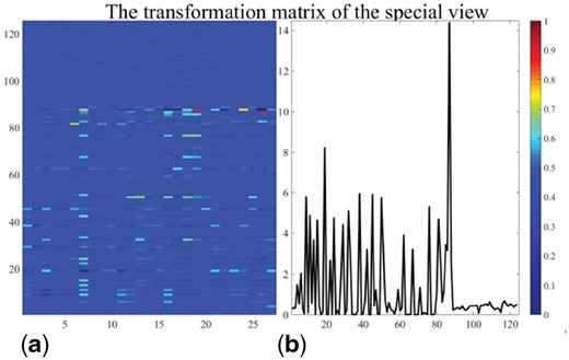 The transformation matrix of the special view on the RDD dataset. The subfigure (a) shows the transform matrix Pd corresponding to the special view. The first 125 rows of the transformation matrix are shown. We calculated the values of each row in Pd by using the ℓ2 norm to show the row-sparsity property. The values of different rows are displayed in the subfigure (b).