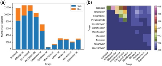 Overview of phenotype of the examined 13 403 MTB isolates. (a) Histogram showing the phenotype of the MTB isolates for each individual anti-TB drug obtained by the drug susceptibility test (up to 11 anti-TB drugs were tested for all isolates). For each drug, the isolates with missing phenotype were excluded. (b) Heatmap visualizing the proportion of pair-wise resistance co-occurrence (non-diagonal) and mono-resistance (diagonal) across anti-TB drugs. The non-diagonal elements correspond to poly-resistant isolates that were resistant to at least two anti-TB drugs. The co-occurrence matrix is symmetric so the upper right half of the graph shows all pair-wise co-occurrence cases