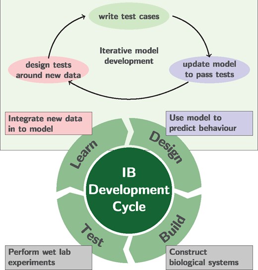 Iterative cycle for systems and synthetic biology development, prevalent in industrial biotechnology applications. This approach captures an iterative mode of development, where models are used to inform wet lab decision making and the information is fed back into future modelling decisions. By integrating test-driven model development (top section) the objective is to simultaneously capture research questions, model validation criteria and minimize the impact of changes on previously completed models