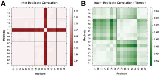 Pairwise inter-replicate Pearson’s correlation of gene expression. The black grid lines indicate the grouping of the replicates with regards to the three experiments. (A) Correlation matrix of gene expression for all 17 replicates. Apart from replicate 11, all replicates correlate very well. (B) Same as left, but with replicate 11 filtered out, allowing the patterns of correlation among the remaining 16 replicates to be better seen