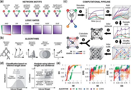Evaluating performance of network inference. (a) Networks differ in features such as motifs and gates. Gates differentially regulate node C based on the activity of nodes A and B. Color-coding (white to purple for low to high activity) characterizes node C in the fan-in motif. (b) Panel of algorithms that use distinct statistical learning methods. (c) Networks were simulated under different conditions to produce timecourse data. Noise was added before data samples were obtained, and true data were permuted to produce null data. Regulation was inferred by each algorithm, and inferred weights (IW) and null weights (NW) were compared to determine the confidence metrics ES and ERS. (d) Left: for a true edge, the two possible outcomes from a binary classification are true positive and false negative. The IW classification threshold depends on algorithm and context. Right: four-quadrant analysis of confidence and IW suggests reasons for algorithm performance. Confidence values above 0.5 indicate that a predicted model tends to outperform null models. Ideal outcomes are in the upper-right quadrant. (e) Left and middle: analysis with IW and confidence; right: comparison of confidence metrics. Results are color-coded by algorithm. For the 36 gate-motif combinations, inference outcomes are shown that are specific to edge A →C, using: nine representative kinetic parameters (kA, kB∈{10−2 100 102}), stimulus to nodes A and B, no added noise, and data sampled from the full timecourse