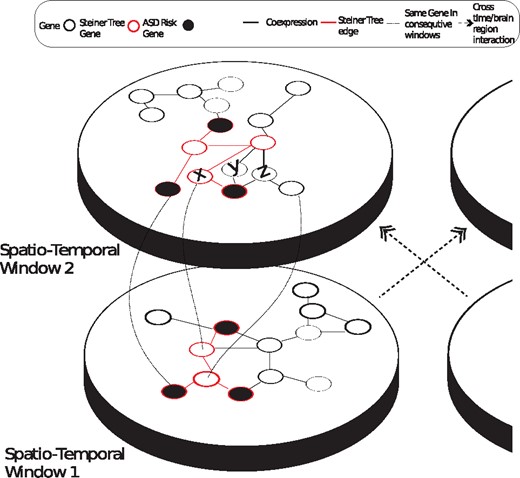 Two spatio-temporal windows (plates) and respective co-expression networks along with a parallel brain region and its plates (partially shown, on the right). Circles represent genes and black edges represent pairs of genes that are co-expressed. Red-bordered nodes form the Steiner tree found on plate 1 (linked with red edges), which minimally connects black seed genes. In ST-Steiner, genes that are selected in Plate 1 are more likely to be selected in Plate 2. Curved lines between windows show the mapping of selected genes from Plate 1 to Plate 2. On the second plate ST-Steiner can pick X, Y or Z to connect the seed genes. Assuming that they all have identical priors and identical edge costs, the algorithm would pick X, because it is selected in the prior window and its prize is increased. If other brain regions in the first temporal window are also considered, then selected genes in those regions would also be used (from the plate on the right)