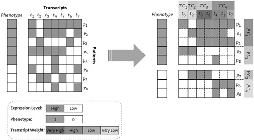 Input and output: The matrix on the left is reordered into the matrix on the right by SUBSTRA. The patients and transcripts are assigned to appropriate clusters and the transcript weights indicate the significance of features with regard to the phenotype. The patient and transcript clusters are formed in a way that the values inside biclusters are as consistent as possible, especially for those biclusters that are related to transcripts with higher weights. High-weight transcripts are those that form a biclustering more consistent with the phenotypes. For example, using the combination of transcripts in TC3 and TC4, one can produce the four patient clusters with homogeneous phenotypes (i.e. PC1 to PC4) as shown in the figure. So, the TC3 and TC4 transcripts are assigned high weights. On the other hand, t2 and t6 cannot form a consistent patient clustering when used alone or in combination with other transcripts and get low weights. Although in this sample the number of patient clusters is equal to the number of gene clusters, this is not a constraint in our algorithm