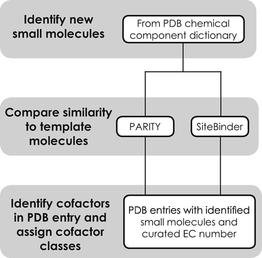 The steps implemented to identify new bound molecules that are cofactor or cofactor like