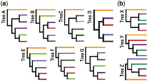 Backbone topologies. Each branch represents species within a given phylum of Terrabacteria: Cyanobacteria (orange), Chloroflexi (blue), Actinobacteria (purple), DT (red) and Firmicutes/Tenericutes (dark green). (a) Trees A–G show the different backbone topologies of all trees produced with reduced datasets in FastTree. Within these trees Firmicutes are paraphyletic; the two species clustering outside Firmicutes/Tenericutes (dark green) are CTP and TSN (light green). (b) Trees X–Z show the reduced set of topologies represented without the CTP/TSN branch