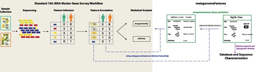 Role of metagenomeFeatures in a 16S rRNA marker-gene survey association study workflow. Standard workflow indicated with the shaded region on the left including sample collection, sequencing, feature inference, feature annotation, then statistical analysis e.g. differential abundance testing and diversity analysis. The R/Bioconductor packages metagenomeSeq and phyloseq are two main utilities for statistical analysis. Contributions by metagenomeFeatures and associated database packages to the standard workflow depicted on right. Arrow and box color indicate metagenomeFeatures vignettes demonstrating functionality. Dashed arrows are connections between standard workflow and metagenomeFeatures