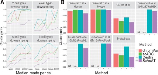 Benchmark results against existing methods via downsampling and empirical data analysis. (A) Purified bulk ATAC-seq data from Corces et al. (2016) were downsampled with different numbers of cell types and different median reads per cell. (B) Cluster results across seven scATAC-seq datasets. chromVAR and scABC cannot be applied to the three datasets from Cusanovich et al. (2015) due to unavailability of required input as bam files