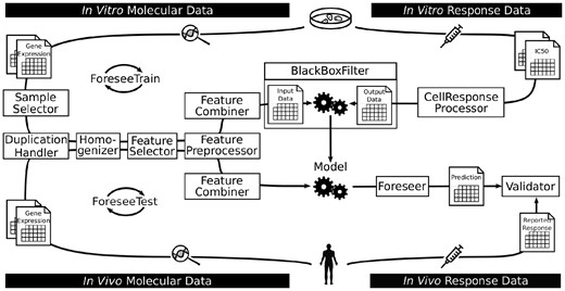 Illustration of the general FORESEE pipeline. The modeling routine comprises two main shells, ForeseeTrain (upper loop) and ForeseeTest (lower loop), with each consisting of different functional elements (boxes). During training, molecular cell line data are pre-processed by selecting certain samples in SampleSelector, removing duplicated feature names in DuplicationHandler, reducing batch effects in Homogenizer, selecting certain features in FeatureSelector, transforming the data in FeaturePreprocessor and combining the different molecular data types in FeatureCombiner, while the response data are transformed in CellResponseProcessor. The pre-processed data are then used for model training in BlackBoxFilter. The Foreseer applies the completed model to molecular patient data that have been pre-processed in the same manner as the cell line data to yield a prediction for patient drug sensitivity, which is subsequently compared to the actual response in Validator to evaluate the overall performance of the translational model