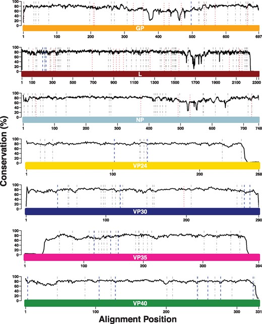 SDPs identified between human-pathogenic Ebolaviruses and Reston virus. The coloured bars represent the lengths of the protein sequence alignments, and each bar is labelled with the name of the protein that it represents. The solid black line represents the Jensen-Shannon conservation score. Dotted red lines represent SDPs. Previously identified SDPs that were lost in the updated analysis are shown by dotted lines (red), dashed-dot lines (grey) represent SDPs that were retained and dashed lines (blue) represent new SDPs that have been identified Note: x-axes differ in their scales between subplots.