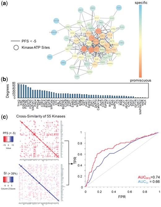 Computational estimation of intrinsic kinase promiscuity. (a) Network similarity clustering of 120 kinase ATP binding pockets from the KinomeFEATURE database based on a optimal PFS threshold (<-5) identified 55 kinases of potential inhibitor cross-activities. (b) To estimate kinase promiscuity, the number of neighbors connected to each node (degree) was used to determine the number of direct interacting partners. The node color in the network correlates with the degree of connectivity. (c) The cross-similarity of 55 kinases were evaluated based on the PFS or SI visualized using heatmaps and the performance were validated by comparing predictions with 17 kinases that have at least one specific inhibitor tested in a previous kinase assay panel (see Fig. 4a and Supplementary Table S6). Quantitative performance assessment based on the ROC curves shows that PFS achieved a higher PFS than SI by either including primary targets (AUCPFS = 0.79 versus AUCSI = 0.72) or excluding primary targets (AUCPFS = 0.74 versus AUCSI = 0.66) (Supplementary Fig. S5a and b)