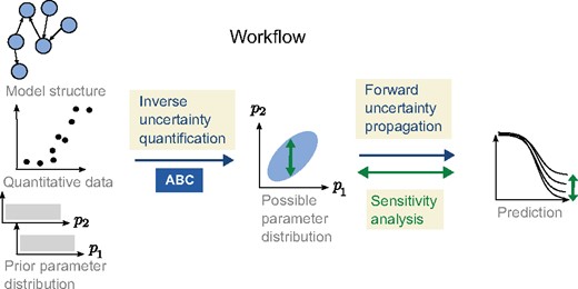 An illustration showing the different parts of the workflow and how GSA is applied on the prediction using the posterior distribution as a restriction on possible model parameter values