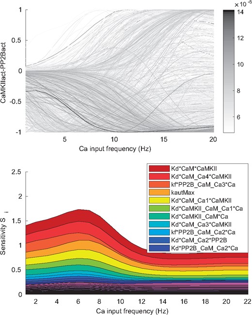 Uncertainty and sensitivity of the prediction. The prediction corresponds to the (normalized) difference between the activity of CaMKII and PP2B at different Ca frequencies. Top panel: The different outputs (grey lines) correspond to different sample points from the posterior distribution. A large uncertainty in the prediction can be observed. Bottom panel: First order sensitivity index (Si) for all parameters at different input (Ca frequency) values. Some parameters have a large influence on the uncertainty