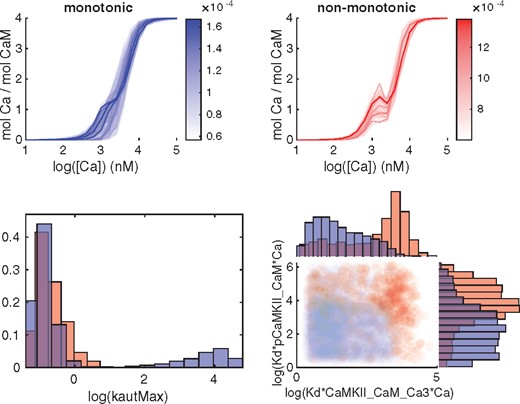 Classification of outputs from phenotype 5 and corresponding subdivision of the posterior distribution. Red corresponds to non-monotonous output while blue corresponds to the monotonous output curves. Top panel: Subdivision of the output mol Ca per mol CaM into a monotonous and non monotonous group. Bottom left panel: Marginal histograms for a parameter with a large difference in the posterior distribution between the two classes, as quantified by the Kolmogorov-Smirnov test. Bottom right: Pairwise scatterplots of the parameter pair with the largest KLD-distance