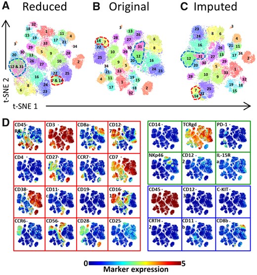 Marker panel extension impact on the identification of distinct populations in the TCRγδ immune lineage—panel B. (A) The Reduced t-SNE map using only 22 markers. (B) The original t-SNE map using the original 28 markers values. (C) The imputed t-SNE map using 28 markers of which 6 are imputed from panel A. All three maps are colored with the original populations labels. (D) Shared and missing markers expression profiles are shown on the original t-SNE map. The map border color indicate whether a marker is shared between panels or unique to a single panel (red is shared, green is unique to panel A and thus missing markers for panel B, blue is unique to panel B).The color bar shows the arcsinh-5 transformed values for the markers expression