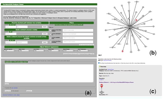 (a) The front page of PedigreeNet. (b) An example pedigree network. The network representation is displayed in the box in PedigreeNet, (c) a first-neighbor network view around W17 embedded on a MaizeGDB Stock page
