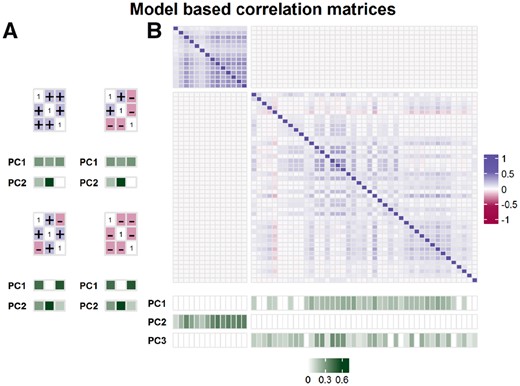 Representations of model-based correlation matrices and their PCs capturing networks of interacting sites in protein models. (A) A single network model with three interacting sites and different correlation structures: (i) all pairs of sites are positively correlated (top left panel), (ii) two pairs are negatively while one pair is positively correlated (top right panel), (iii) two pairs are positively while one pair is negatively correlated (bottom left panel) and (iv) all pairs of sites are negatively correlated (bottom right panel). In the first two cases (top panel), the three interacting sites are fully represented in PC1 (corresponding to the largest eigenvalue); this contrasts with the last two cases (bottom panel), where the network is only partially represented in PC1. (B) A two-network model comprising pairwise correlations close to those observed in the Gag data. The first network (corresponding to the upper left block) comprises 14 sites involving only positively correlated pairs of sites while the second network (corresponding to the lower right block) comprises 43 sites involving a combination of both positively and negatively correlated pairs of sites. PCs corresponding to the three largest eigenvalues of the correlation matrix (namely, PC1, PC2 and PC3) are shown after removing the weak PC indices [see Equation (3) in Supplementary Text S3b for details]. On the bottom panel, the magnitudes of the PC indices are represented by the color of the corresponding cells. The same color scale was used to represent all the PCs in (A) and (B) which is shown at the bottom of panel (B)
