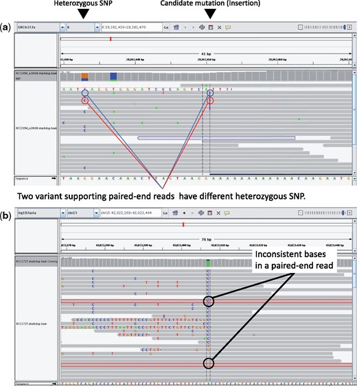Typical cases of error are shown in the IGV screenshot. (a) In this case, both heterozygous SNPs near the mutation candidate appear in the variant supporting reads. See the erroneous case in Figure 1a. (b) One corresponding paired-end read is highlighted in red line. In this case, inconsistent bases in a paired-end read occur at a mutation candidate position. See the erroneous case in Figure 1b. Our method successfully evaluates these errors with low Bayes factor scores, i.e. 0.000059 in (a) and 0.0000011 in (b)