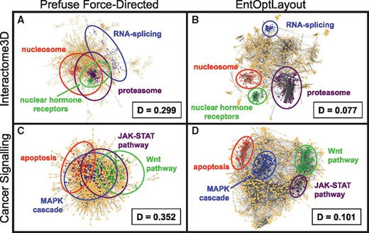 Visualization of major protein complexes by the EntOptLayout Cytoscape plug-in. Coloured segments of the image represent various major protein complexes, showing the same, maximum 200 core nodes of the respective network module/community identified by the ModuLand Cytoscape plug-in (Szalay-Bekő et al., 2012) as detailed in the legend of Supplementary Figure S1. Panels A and B show the Interactome3D human protein–protein interaction network (Mosca et al., 2013) visualized by the Cytoscape prefuse force-directed layout option alone or by the subsequent use of the EntOptLayout plug-in (switching on the square of the adjacency matrix, ignoring the square of the diagonal and performing consecutive optimizations for 10 000 s each for node position, node width, node position, node width and node position after a pre-ordering made by the prefuse force directed layout), respectively. ‘D’ denotes the normalized information loss (relative entropy) of the layouts stored in the Network Table of the plug-in (in case of the Cytoscape layout its node positions were imported to the EntOptLayout plug-in, and only the node probability distributions were optimized keeping the node positions intact as described in Chapter 5 of the plug-in Tutorial). We note that the 10 000 s alternating position and node width optimization steps should be continued until the ‘D’ value (the normalized information loss) of the layout is decreasing. ‘D’ values are usually becoming minimal after 4–5 subsequent optimization steps. We also note that the use of the prefuse force-directed layout as a pre-ordering layout option before the use of the EntOptLayout shortens the required optimization time and allows the correct positioning of a few (usually 1–4) nodes, which became mis-positioned if this pre-ordering is not used. We recommend the use of the prefuse force-directed algorithm as pre-ordering, since the combination of only this algorithm with the EntOptLayout (but not 3 other Cytoscape layout options) resulted the correct positioning of all nodes (see Supplementary Fig. S2). Panels C and D show the map of human cancer signalling (Cui et al., 2007) visualized in the same way as shown in Panels A and B