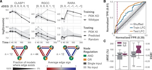 Ensembles of minimal SDE systems trained on PI3Kinh and WT data accurately predict expression in untrained PI3K KI condition. (A) Three examples of dDEGs with matching dynamical models. (A, top row) Normalized gene expression for each gene in PI3Kinh and WT used to train the models. The discrete response of the pairwise contrasts (in brackets) for each dDEG show when differential expression occurs. (A, middle row) Normalized gene expression for model predictions, null model predictions and true PI3K KI expression. Trained and null model predictions are median values, and the filled regions show the 83% CI of the median. (A, bottom row) Network diagrams summarize the ensemble models matched to each gene in the training condition. (B) AUROC curve plot of different methods for sorting gene predictions. Sorting by mean LFC between the training conditions places more accurate predictions at the top of the list. A threshold for selecting more accurate predictions (purple, dashed line) is calculated using the elbow rule of the sorted mean LFC values in the training condition (Supplementary Fig. S7). (C) Box plots show the normalized and absolute difference in MSE of the trained models compared with the paired random models for all genes. The top set of genes (purple) were determined by the elbow rule and are significantly more likely to generate more accurate predictions. P-values were calculated using the Wilcoxon signed-rank test. **P < 0.01, ****P < 0.0001