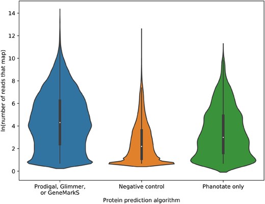 Violin plot of the ln(number or reads that map) to each of the ORFs predicted either by one (or more) of Prodigal, Glimmer or GeneMarkS; by no gene prediction algorithms (negative control); or by PHANOTATE alone