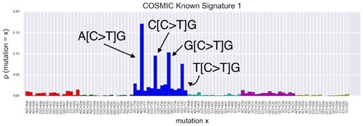 A known mutation signature in the COSMIC database. This signature (Signature 1) was taken from the COSMIC database (http://cancer.sanger.ac.uk/cosmic), whose mutational process is considered the deamination reaction of methylated cytosine. The horizontal and vertical axes show types of mutations and their probabilities, respectively. The four arrows indicate the peaks at A[C > T]G, C[C > T]G, G[C > T]G and T[C > T]G, suggesting that methylated cytosine tends to become thymine if the 3′ adjacent base is guanine