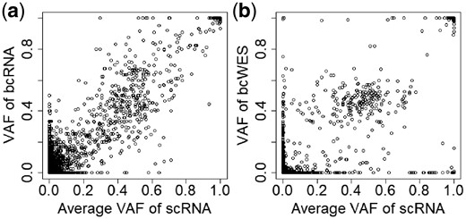 The concordance of VAFs of SNVs of scRNA-seq with bcRNA-seq (a) and bcWES (b).