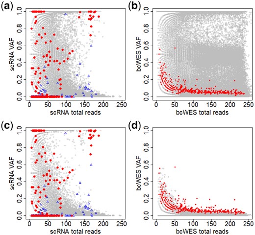 Noisy data create a great challenge in identifying mutations in single cells. (a and b) Plots of total reads versus VAFs across all SNVs for scRNA-seq and bcWES, respectively. Panels c and d are similar to Panels a and b after limiting by germline VAF=0. Gray circles are non-mutated SNVs and red dots are highlighted mutated sites detected from bcWES data. The blue triangles are highlighted mutated sites from non-tumor cells