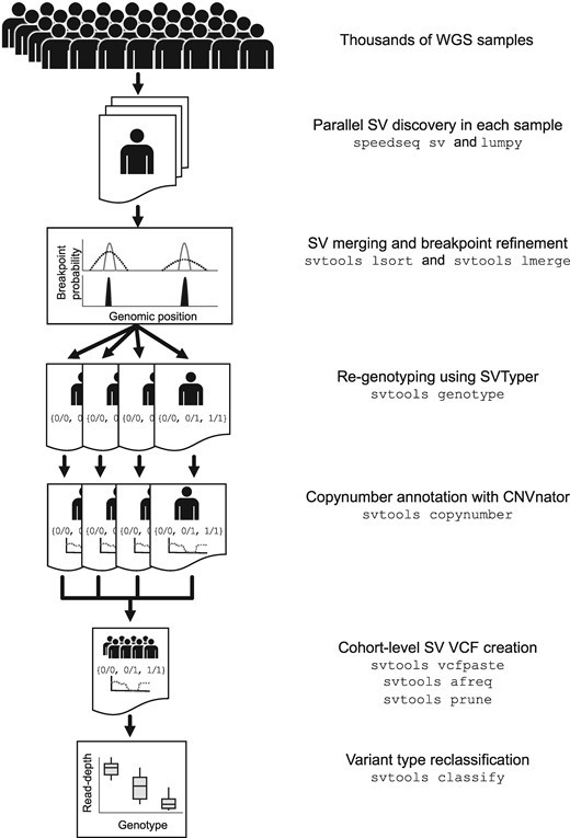 The svtools pipeline. SVs are detected separately in each sample using LUMPY. Breakpoint probability distributions are utilized to merge and refine the coordinates of SV breakpoints within a cohort, followed by parallelized re-genotyping and copy number annotation. Variants are merged into a single cohort-level VCF file and variant types are classified using the combined breakpoint genotype and read-depth information