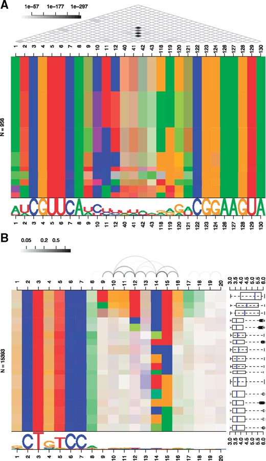 Examples of dependency logos. (A) Left stem loop of a riboswitch using a regular grid to represent dependency P-values. (B) Binding sites of the transcription factor NRSF predicted from ChIP-seq data with individual partitions annotated with ChIP-seq peak statistics