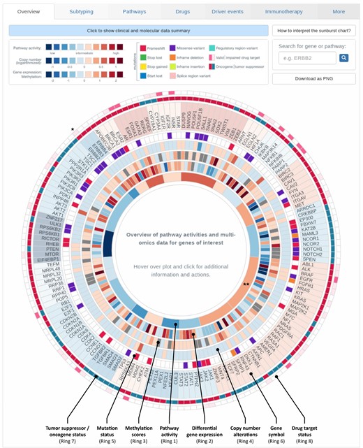 Overview of tumor characteristics. Breast cancer-relevant driver genes and pathways are displayed in a circular manner. Genes are grouped according to the pathways they are most characteristic for. The plot is organized in rings, where the innermost ring displays pathway activities, the second ‘inner’ ring corresponds to gene expression. Depending on the data provided by the user, information on copy number alterations, methylation and mutations is shown in the third, fourth and fifth ring respectively. Gene names are displayed in the next ring. The second most outer ring indicates whether the gene acts as an oncogene or tumor suppressor gene (TSG) for activating the corresponding pathway. The outermost ring contains indicators on whether or not the gene is a known drug target. Visualization for sample TCGA-BH-A0DT (cf. Section 3.2). * Entry on HER2/neu (ERBB2), ** MAPK signaling pathway as referred to in Section 3.2