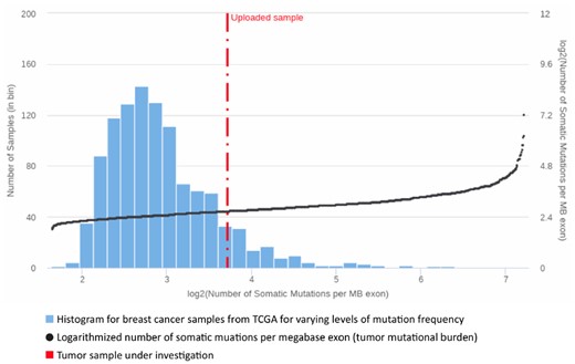 Tumor mutational burden. Visualization of the tumor mutational burden for a sample of interest (TCGA-A2-A0T2, cf. Section 3.3) in comparison to the TCGA breast cancer cohort. The bars indicate the number of TCGA samples per interval of mutation frequencies (left y-axis). The TCGA samples are sorted by increasing mutation load. The black dots depict the logarithmized number of somatic mutations per megabase exon (right y-axis)