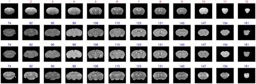 The matching result of the MRI images. The red numbers are the indices of the test image, and the blue numbers are the indices of the best matched indices from atlas image sequence (The whole matching results for the 10 atlas image sets are shown in Supplementary Fig. S21)