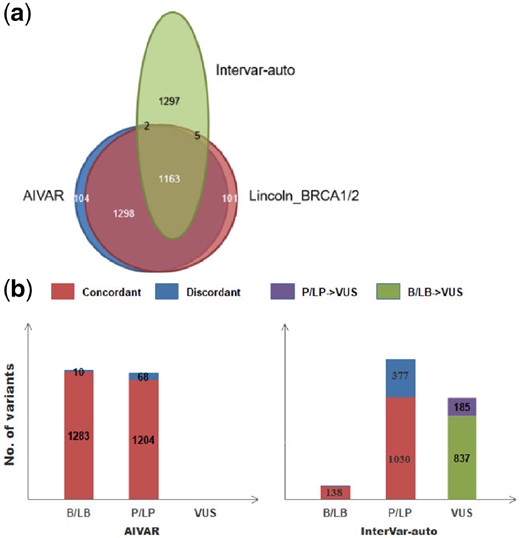 AIVAR versus InterVar-auto on the Lincoln_BRCA1/2 test set. (a) Venn diagram: a schematic representative of the proportions of consensus classifications and discordant/conflicting classifications by AIVAR, Lincoln_BRCA1/2 and InterVar-auto. AIVAR showed large overlap (concordance) with Lincoln_BRCA1/2, while InterVar-auto showed a substantial amount of discordance. (b) Bar charts show proportion of variants classified into B/LB, P/LP, VUS by AIVAR and InterVar-auto; concordant and discordant predictions (with Lincoln_BRCA1/2) of each category are indicated in red and blue color, respectively; InterVar-auto produced substantial amount of VUS classification that were originally classified as either P/LP (purple) or B/LB (green) by human expert groups, according to Lincoln et al. (2017)
