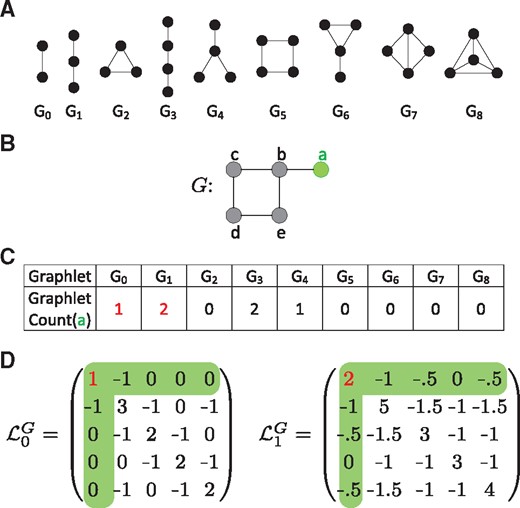 Illustration graphlets and Graphlet Laplacians. Node a is coloured in green throughout. The graphlet counts of node a for graphlet G0 and G1 are coloured in red throughout. (A) All graphlets with up to 4 nodes, labelled G0 to G8. (B) A dummy network. (C) A vector of graphlet counts describing the local topology of node a in the example network, G. Node a touches graphlet G0 via edge (a, b). Node a touches graphlet G1 twice, via paths a-b-c and a-b-e. (D) The Graphlet Laplacians for graphlets G0 and G1, applied on the network, G, shown in B. The diagonal elements correspond to the graphlet counts of each node; e.g. L0G(1,1) is equal to 1, the number of times node a touches graphlet G0, L1G(1,1) is equal to 2, the number of times node a touches graphlet G1. The off-diagonal elements correspond to the number of times two nodes touch a given graphlet together, scaled by size(Gk)−1. L0G(1,2)=−1, as a and b form G0 once and size(G0)−1=1. L1G(1,2)=−1, as a and b form G1 twice and size(G1)−1=2