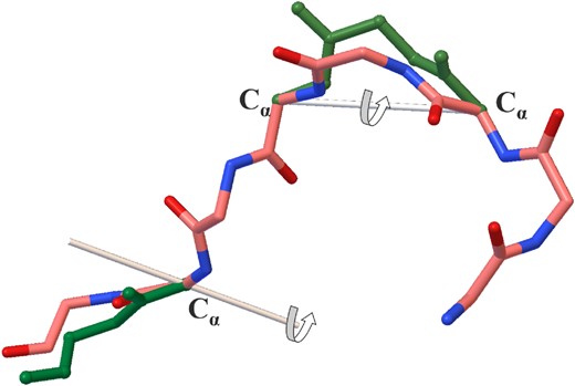 CRANKITE’s Monte Carlo moves. A crankshaft motion along two selected Cα atoms or a rotation near the end of the chain