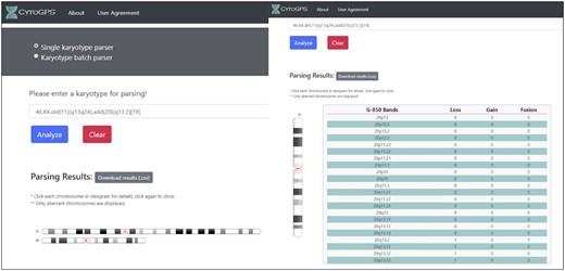 CytoGPS website. This shows the karyotype analysis landing page, which describes general information about how to use the web based analysis tool. The left panel shows how results are displayed after a karyotype has been parsed. The user is shown which chromosomes have cytogenetic abnormalities and is provided with a downloadable file of the results. When a user clicks on a chromosome, they see a table in the right panel that shows each cytogenetic region on that particular chromosome and how those regions were affected