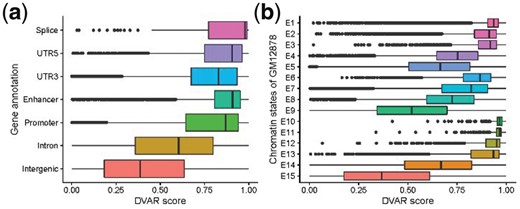 The distribution of DVAR-scores across different regulatory elements (REs). (a) DVAR-scores grouped by gene-based regions. (b) DVAR-scores grouped by 15-chromatin states of ChromHMM on GM12878 cell