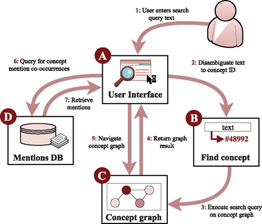 LION LBD system components. Users interact with the system through text-based queries (A) that are mapped to ontology identifiers (B) used to search the entity-level graph (C). Mentions of entities in context can be retrieved from a separate database (D)